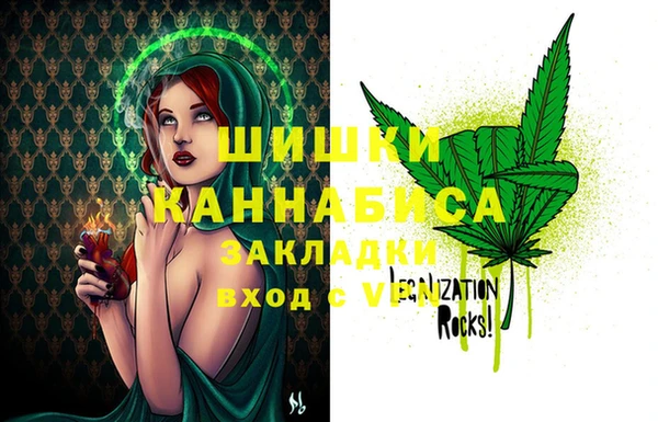мдпв Лагань