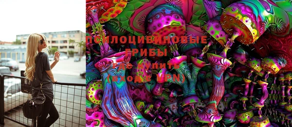 мдпв Лагань