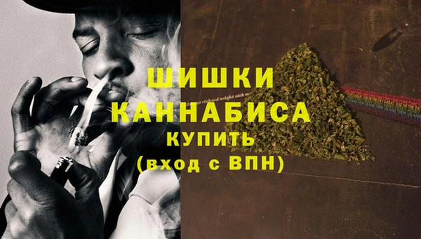 мдпв Лагань