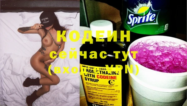 мдпв Лагань