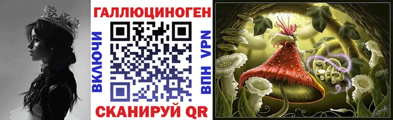 Галлюциногенные грибы мицелий Купить где Никольск